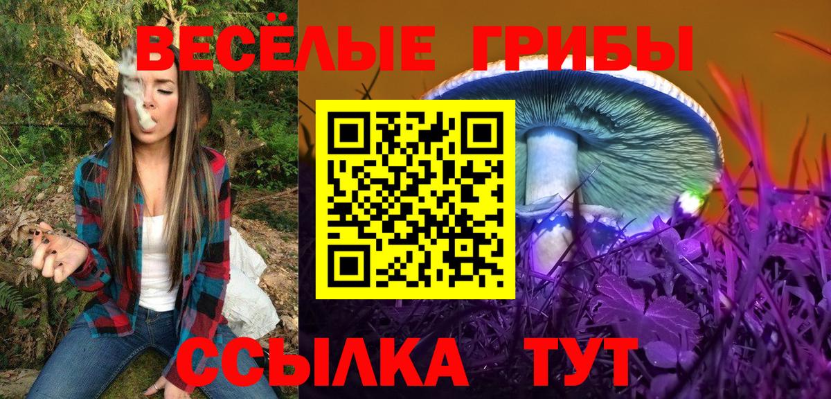 Галлюциногенные грибы GOLDEN TEACHER  Вход с VPN  Галлюциногенные грибы Psilocybe  Дагестанские Огни 