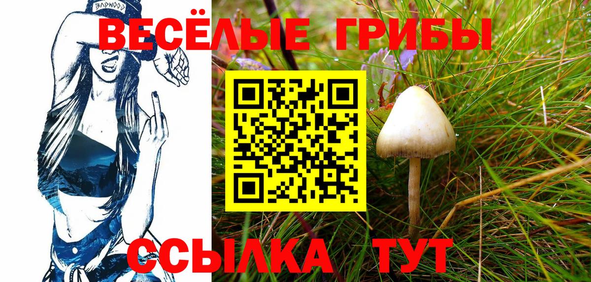 Псилоцибиновые грибы GOLDEN TEACHER Дагестанские Огни